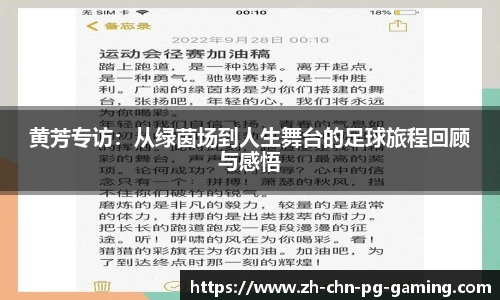 PG电子模拟器