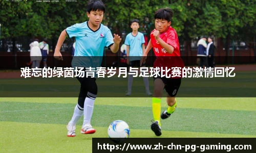 PG电子模拟器